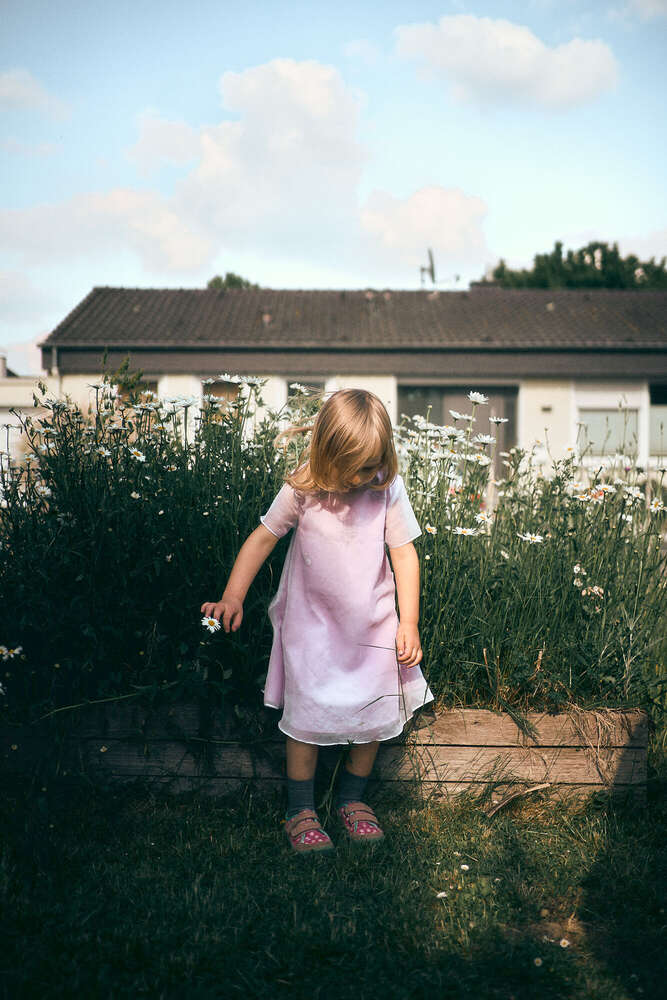 Wedding | Event | Busines | Real Estate - Richard  (Wedding | Event | Busines | Real Estate - Richard )