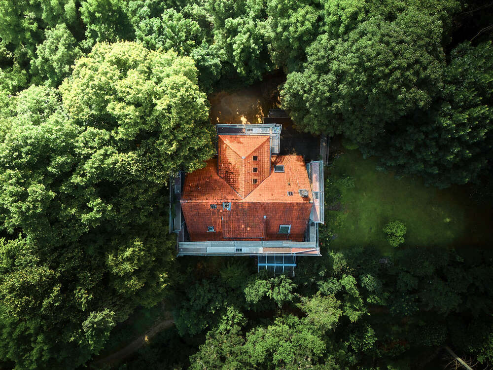 Wedding | Event | Busines | Real Estate - Richard  (Wedding | Event | Busines | Real Estate - Richard )