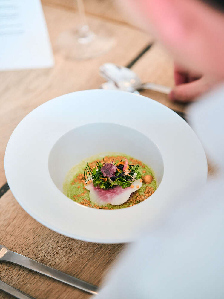 Wedding | Event | Busines | Real Estate - Richard  (Wedding | Event | Busines | Real Estate - Richard )