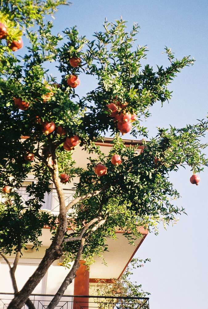 Sofia Busch (Sofia Busch)