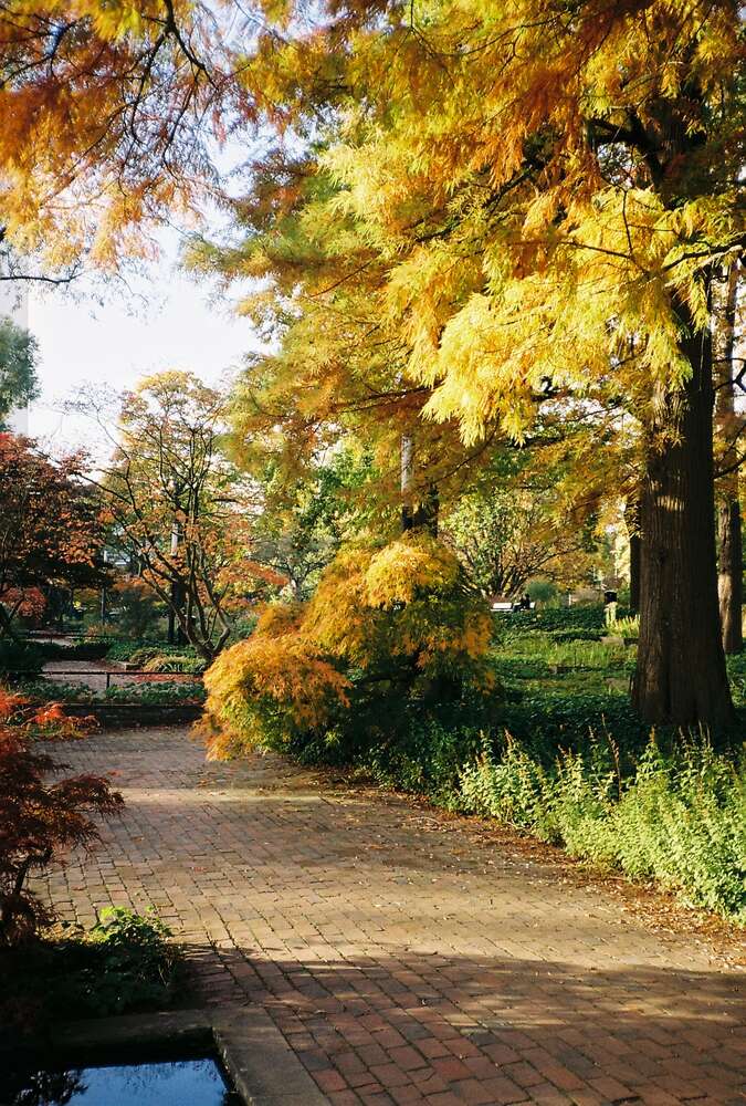 Sofia Busch (Sofia Busch)