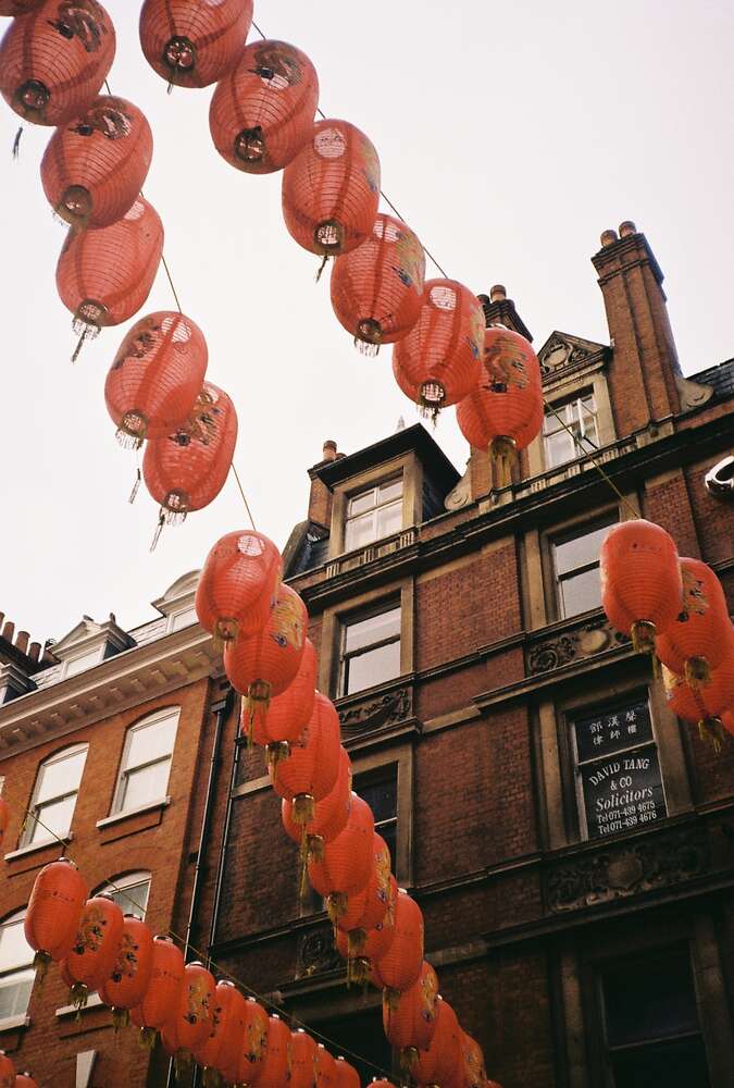 Sofia Busch (Sofia Busch)