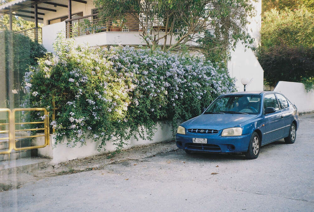 Sofia Busch (Sofia Busch)