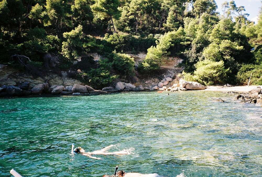 Sofia Busch (Sofia Busch)