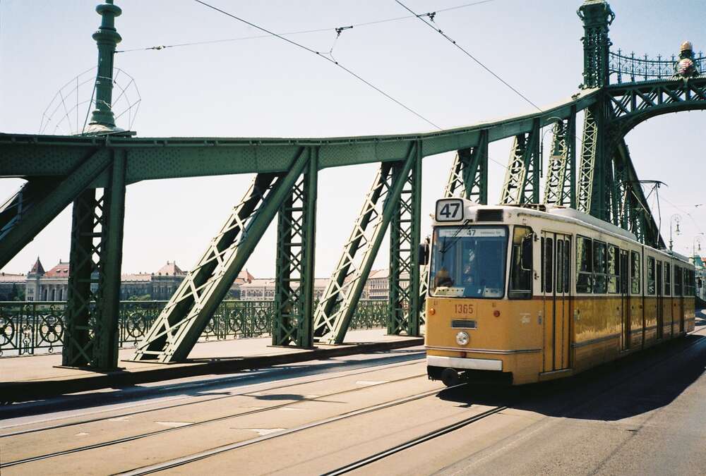 Sofia Busch (Sofia Busch)