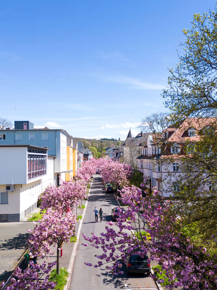 Jan-Lennart Büttner (Jan-Lennart Büttner)