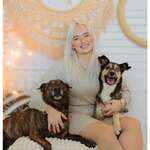 Herz trifft Pfote Fotografie