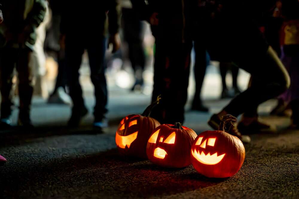 Mischitz Media (Mischitz Media)