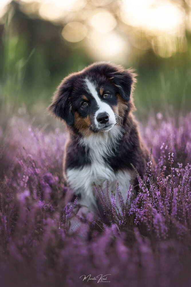 Marielle Kraul Fotografie