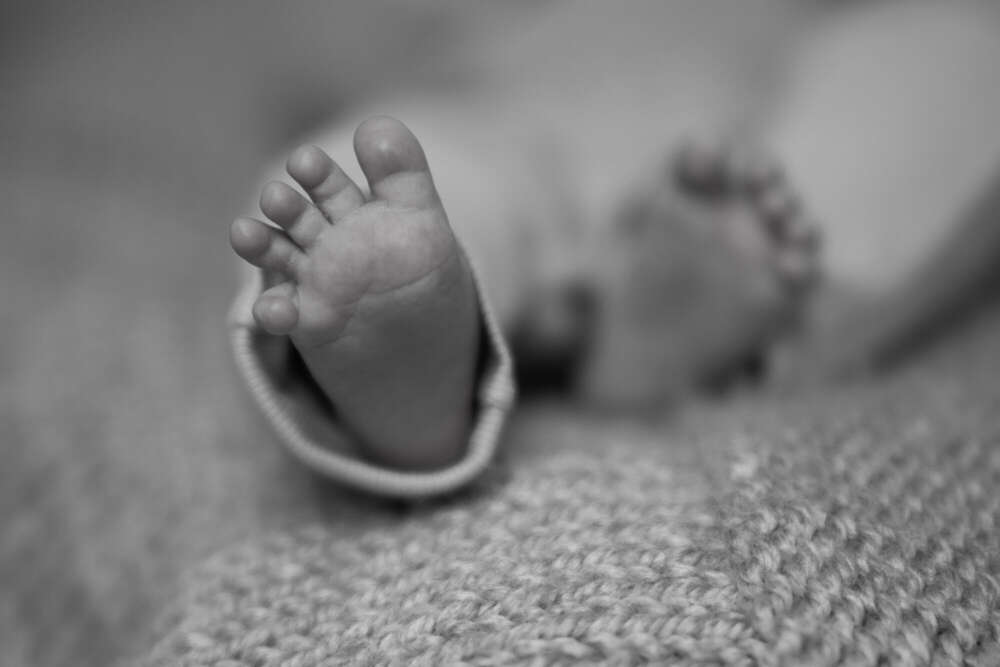 Seiler Fotografie (Seiler Fotografie)