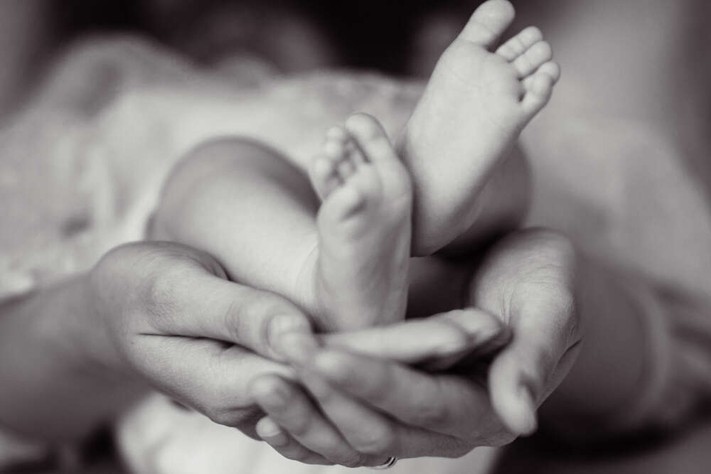 Seiler Fotografie (Seiler Fotografie)