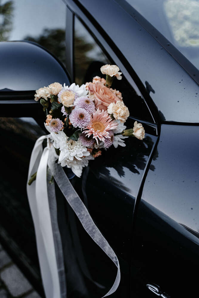 Sophie Köstner (Sophie Köstner)