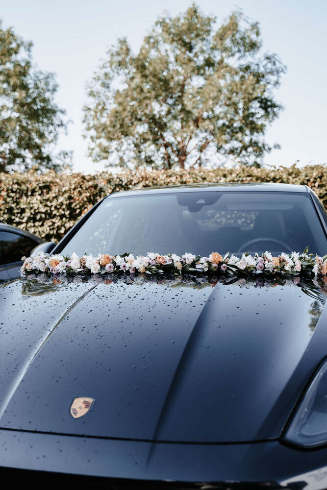 Sophie Köstner (Sophie Köstner)