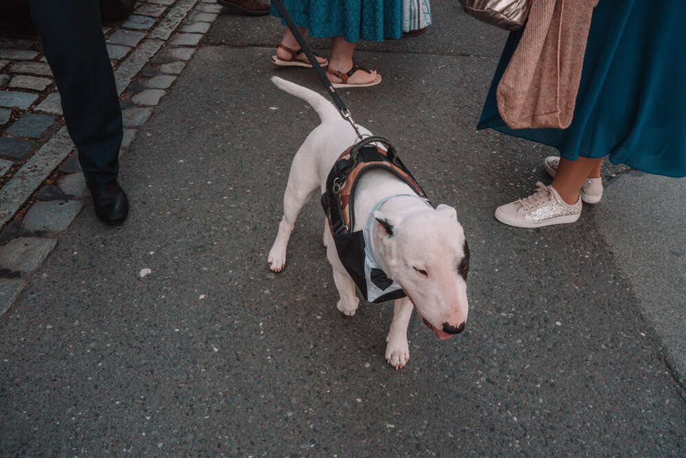 Sophie Köstner (Sophie Köstner)