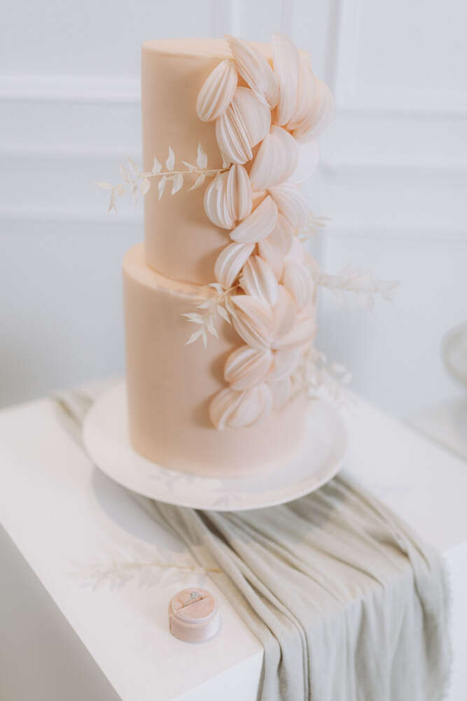 Janet Werner (Janet Werner)