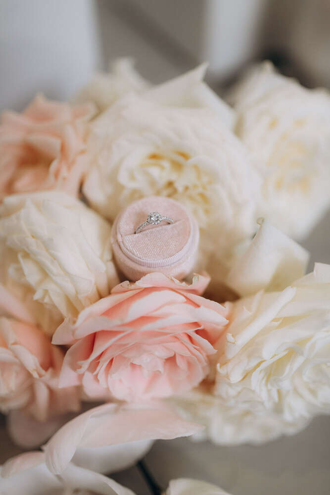 Janet Werner (Janet Werner)