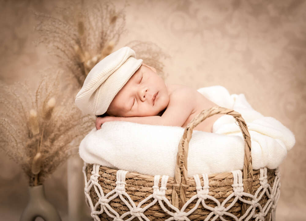 Photo Sterner (Photo Sterner)