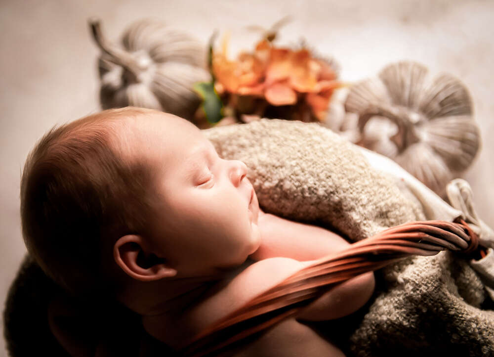 Photo Sterner (Photo Sterner)