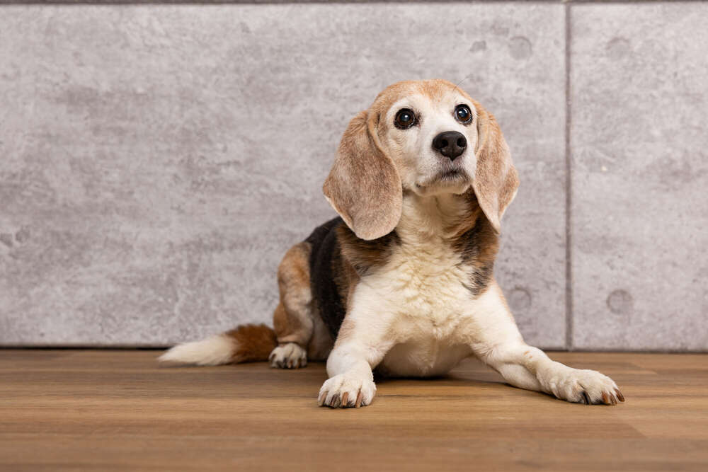 Julia Potthoff Fotografie (Julia Potthoff Fotografie)