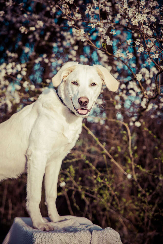 Julia Potthoff Fotografie (Julia Potthoff Fotografie)