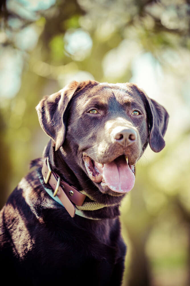 Julia Potthoff Fotografie (Julia Potthoff Fotografie)