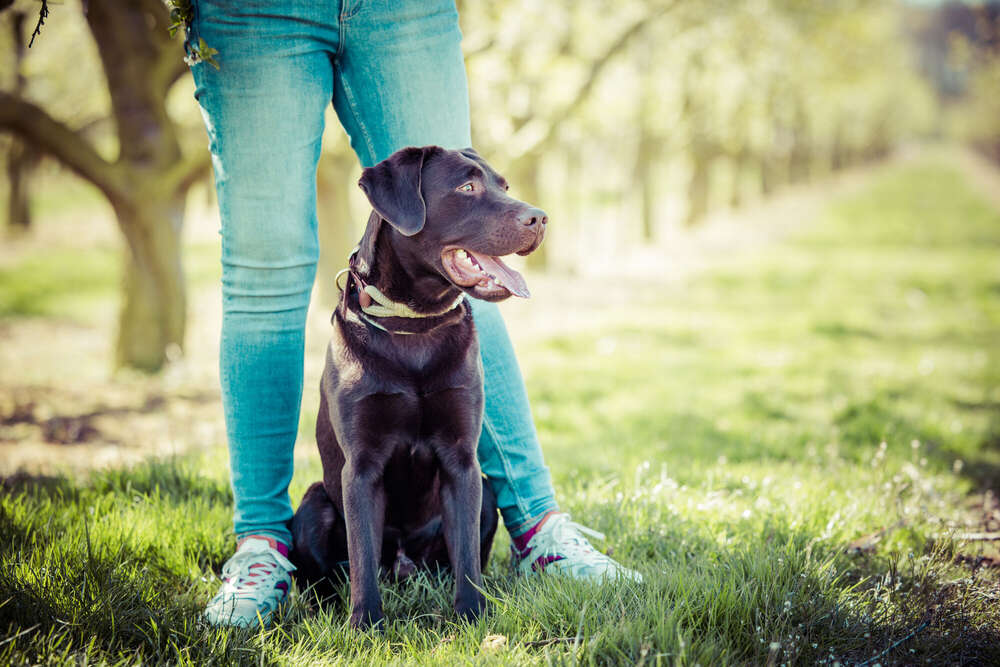 Julia Potthoff Fotografie (Julia Potthoff Fotografie)