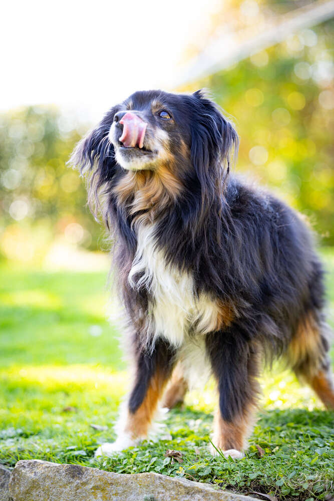 Julia Potthoff Fotografie (Julia Potthoff Fotografie)