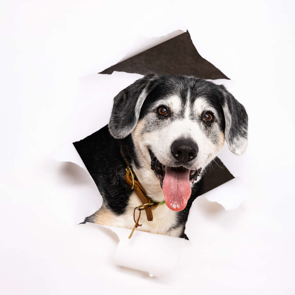 Julia Potthoff Fotografie (Julia Potthoff Fotografie)