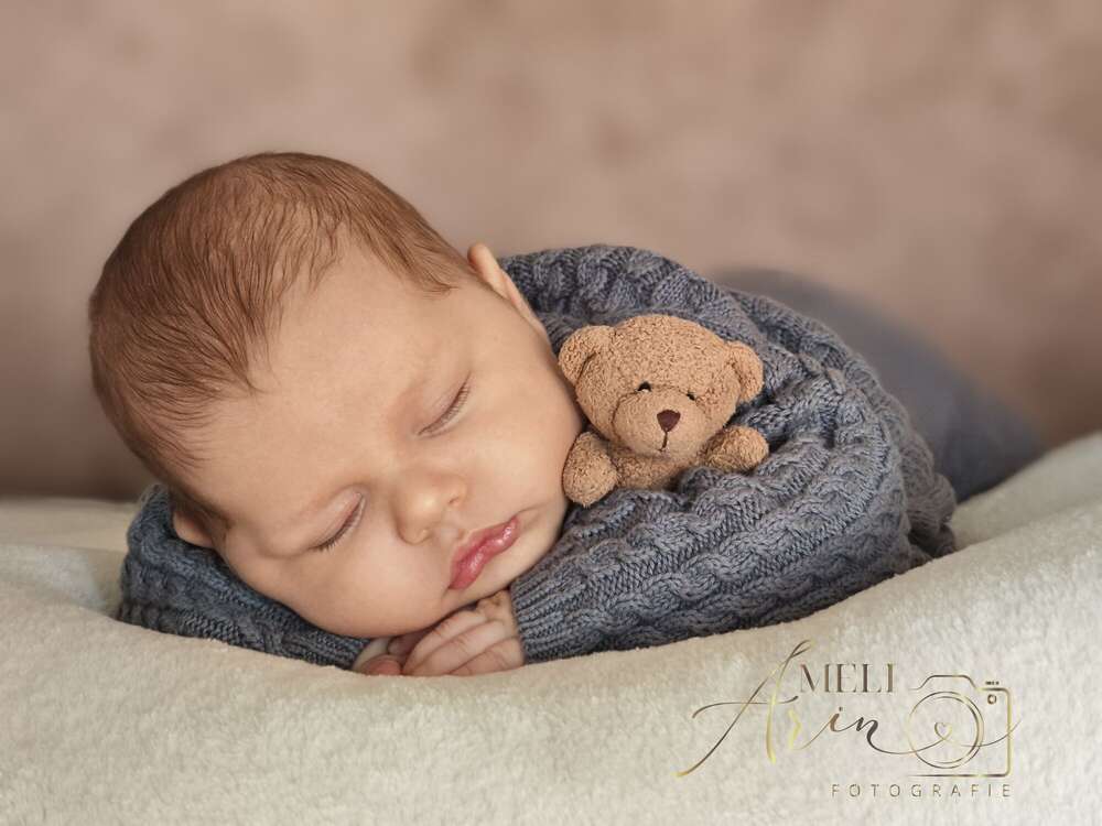 Kuschelbär (Meli Arin Fotografie)