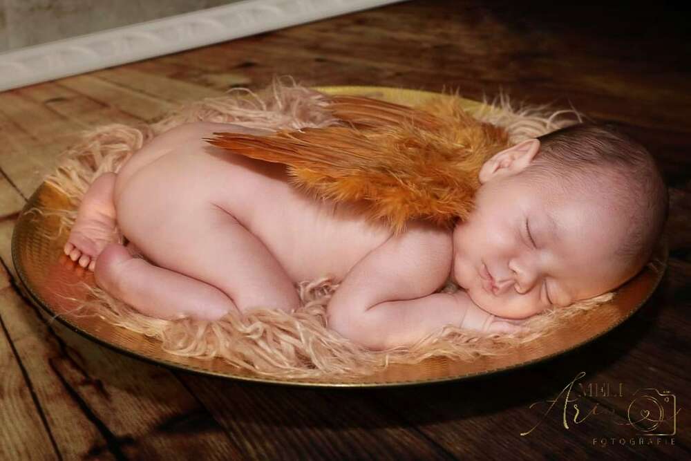 Engel (Meli Arin Fotografie)