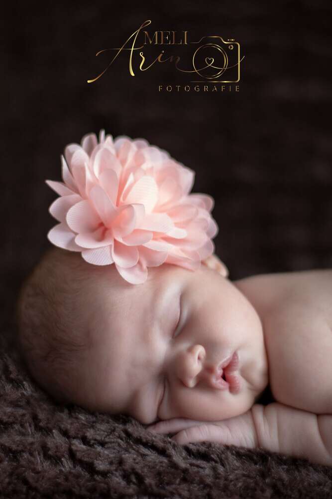 Meli Arin Fotografie (Meli Arin Fotografie)