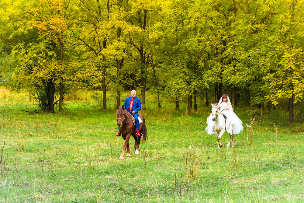 Hochzeit (Dmitrii Pushkar)