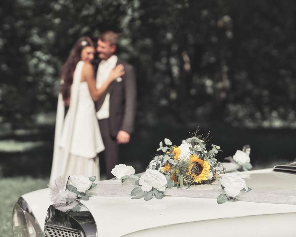 Allgäu Photoart (Allgäu Photoart)