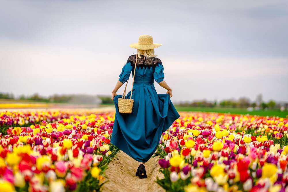 Ventsislav Kolev (Ventsislav Kolev)