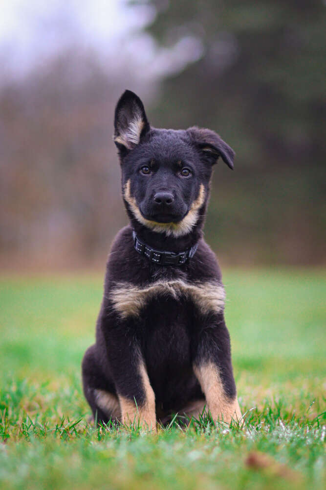 Aileens Fotografie (Aileens Fotografie)