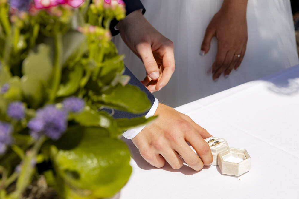 m.visual-photography (m.visual-photography)