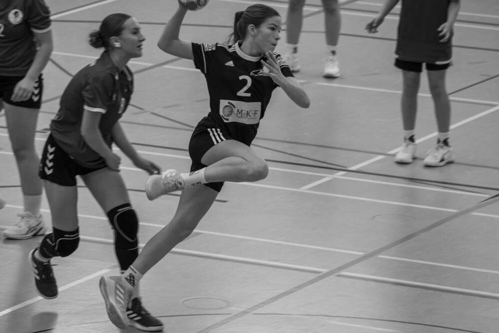 Handball (Foto Momente 23)