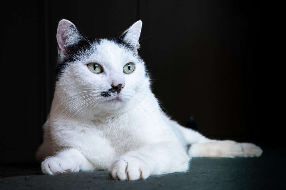 Foto Momente 23 (Foto Momente 23)