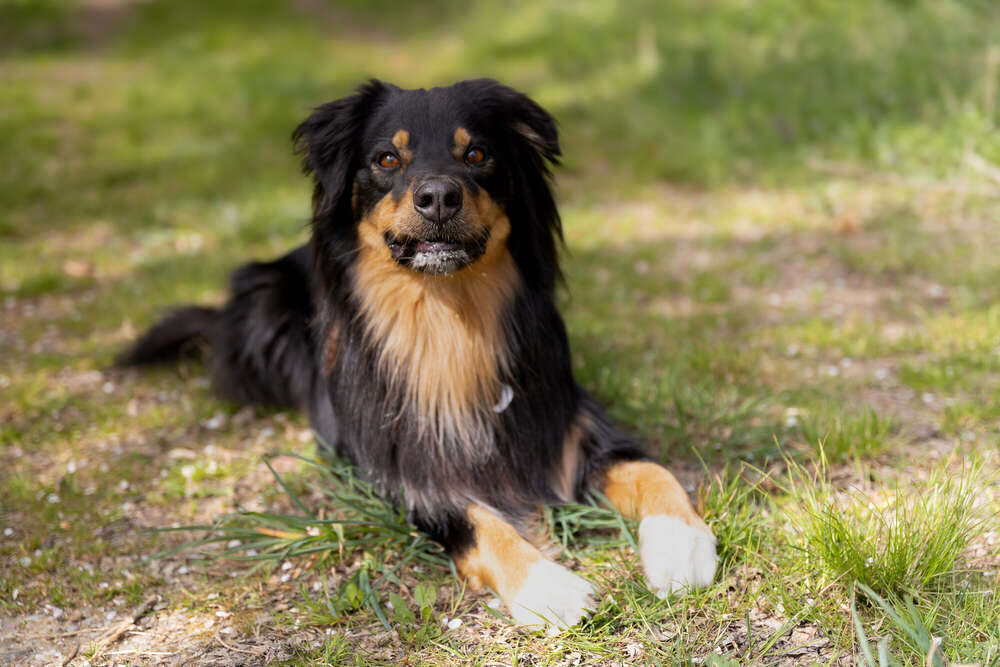 Foto Momente 23 (Foto Momente 23)