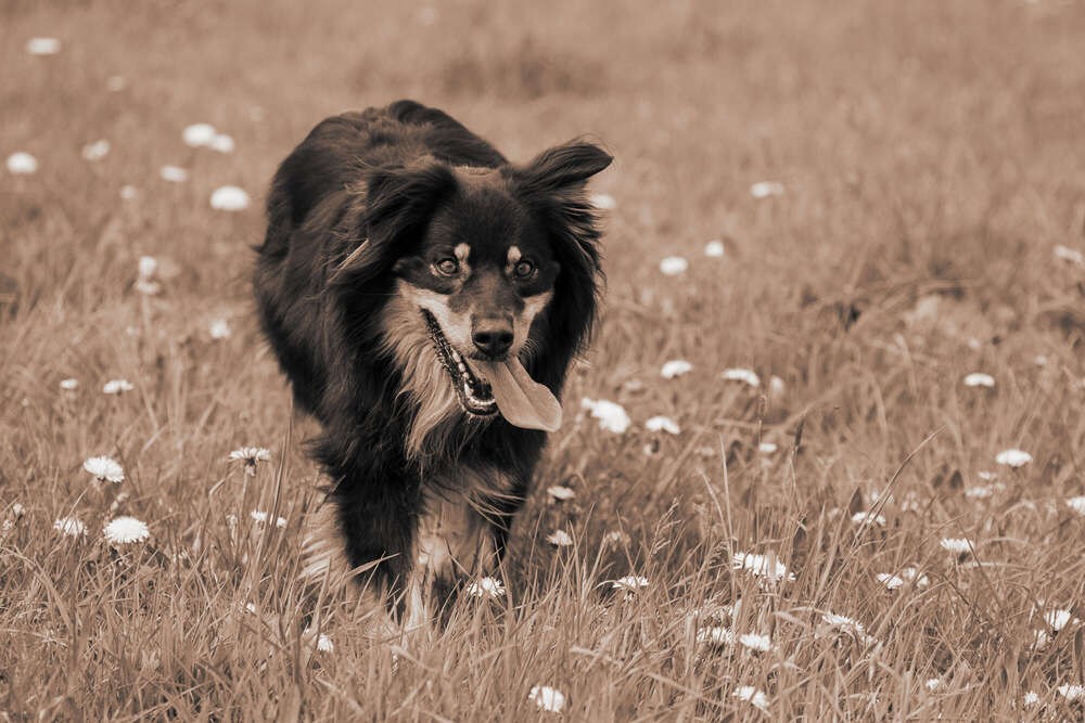 Foto Momente 23 (Foto Momente 23)