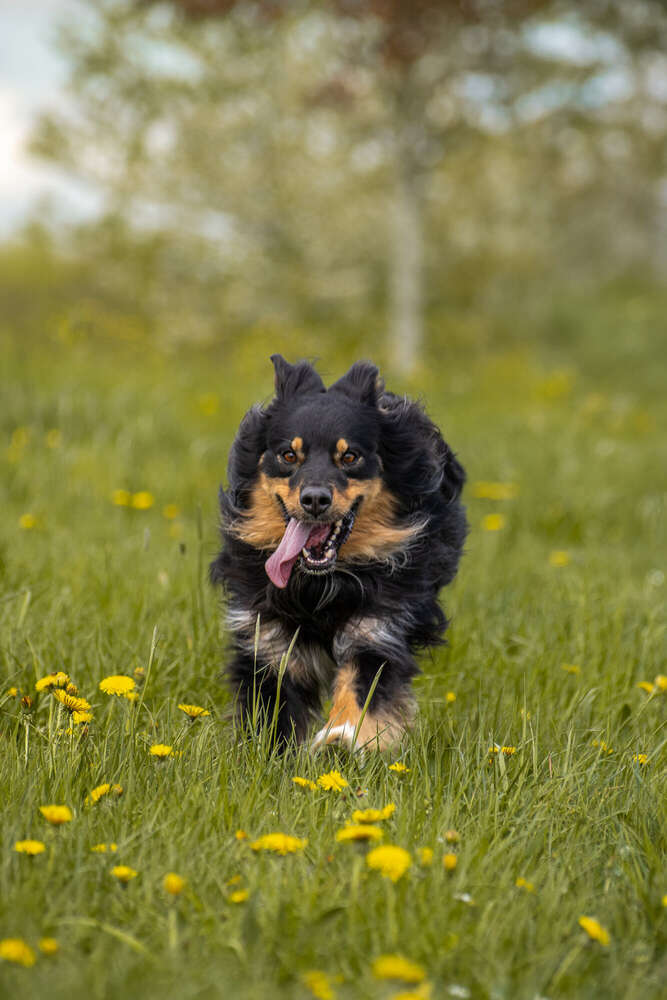 Foto Momente 23 (Foto Momente 23)