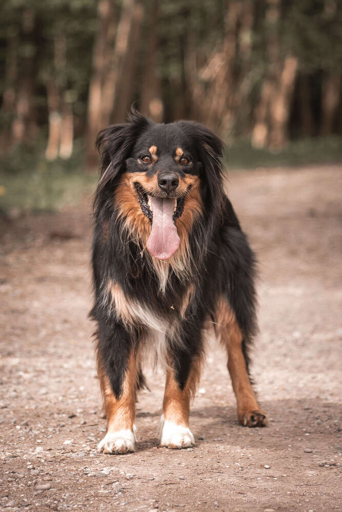 Foto Momente 23 (Foto Momente 23)