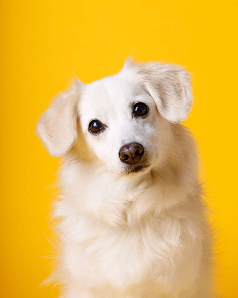 Naomi Halbrügge (Naomi Halbrügge)