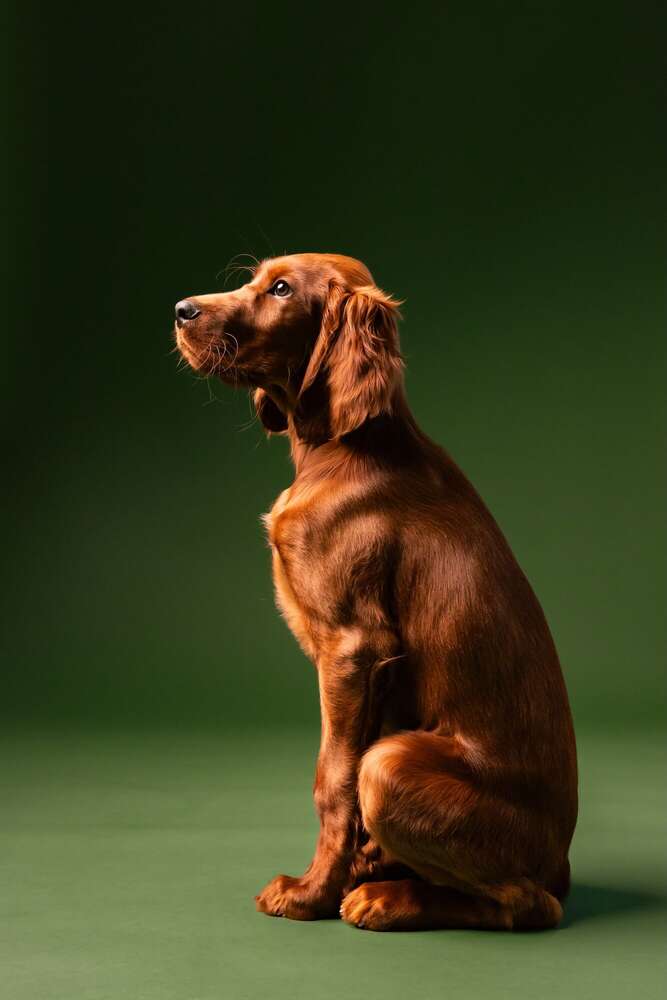 Naomi Halbrügge (Naomi Halbrügge)