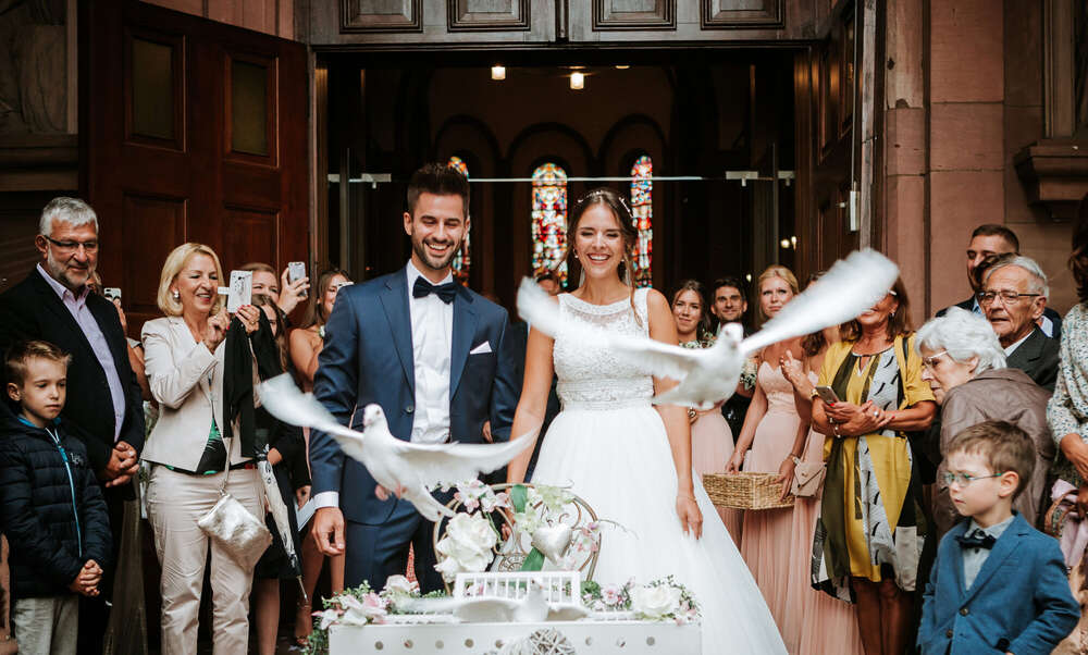 Wolke8 Studio (Wolke8 Studio)