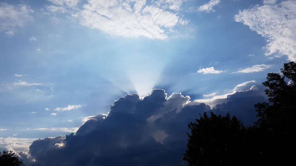 Dehler [Foto & Film] (Dehler [Foto & Film])