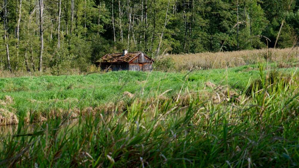 Dehler [Foto & Film] (Dehler [Foto & Film])