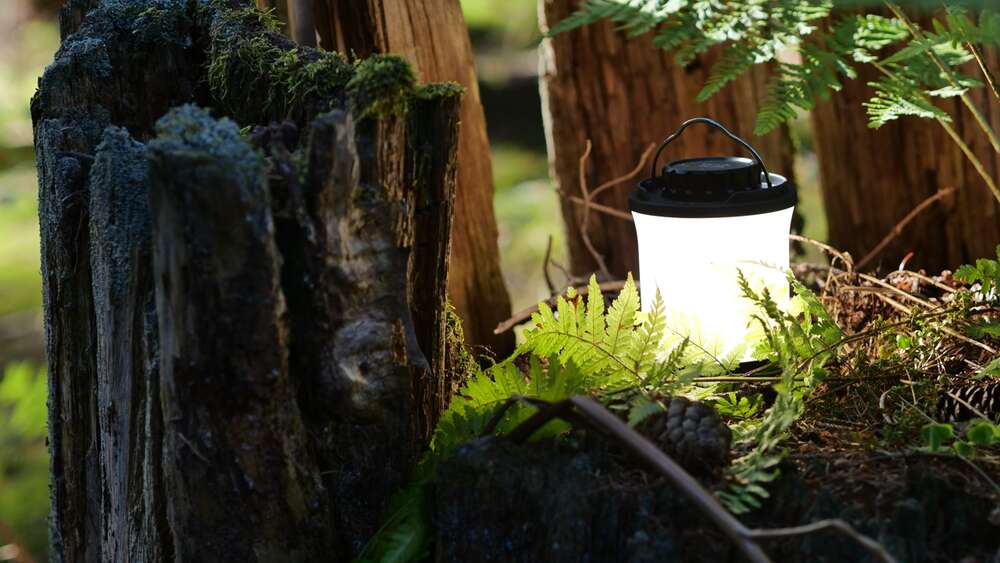 Dehler [Foto & Film] (Dehler [Foto & Film])