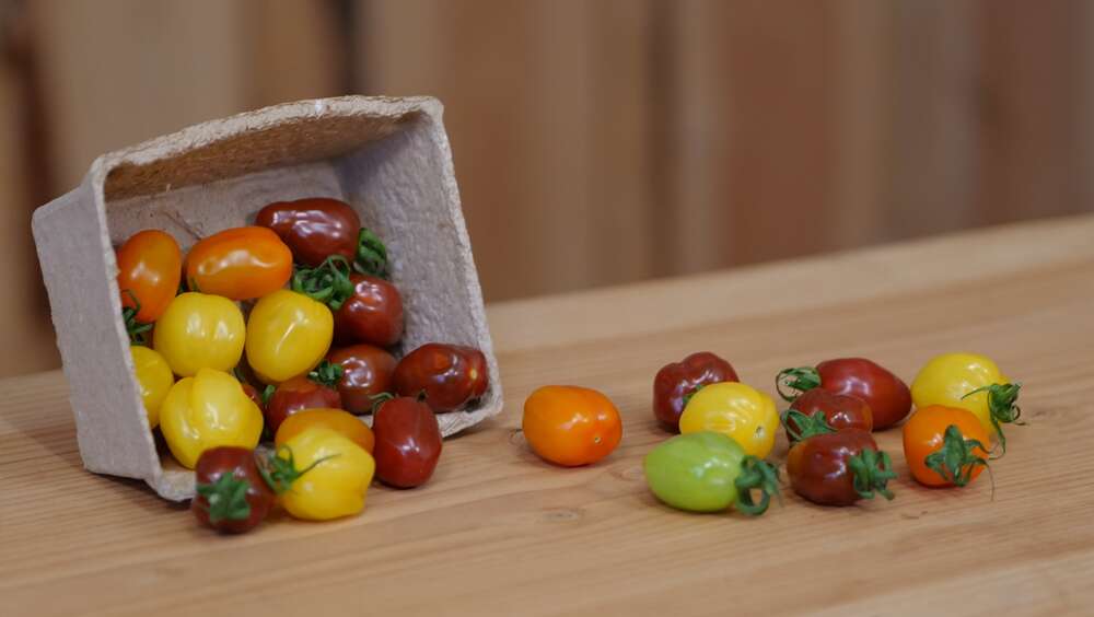 Dehler [Foto & Film] (Dehler [Foto & Film])