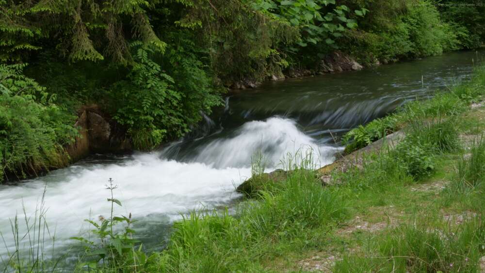 Dehler [Foto & Film] (Dehler [Foto & Film])